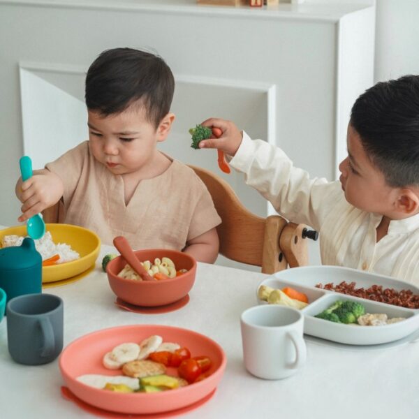 EKOBO Silicone Suction Divided Plate | Piring Silikon Bayi & Anak - Image 6