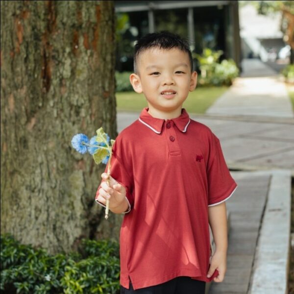PETIT BEARY Bamboo Boy Polo Top | Atasan Anak Laki-Laki - Image 4