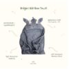 Mellow Dragon Bamboo Bath Hooded Towel / Handuk Bamboo Anak - Image 2