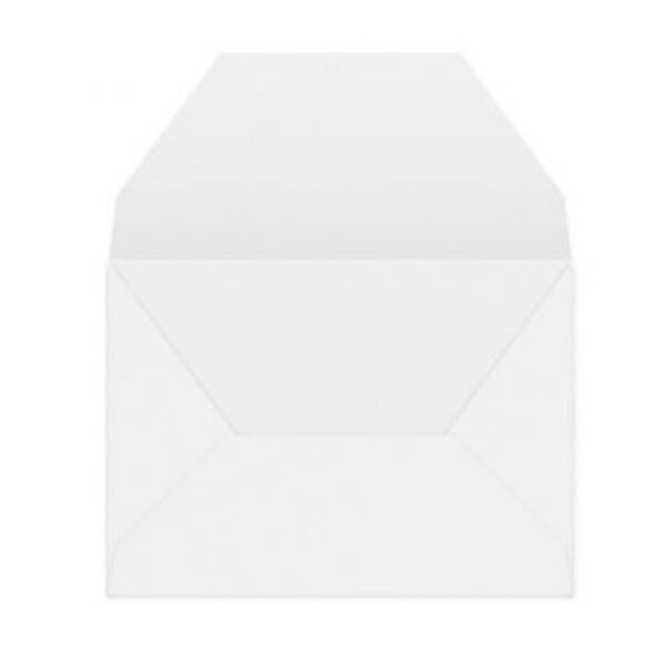 PAPERMARK Animal Party 
Notecard set of 6 - Image 3